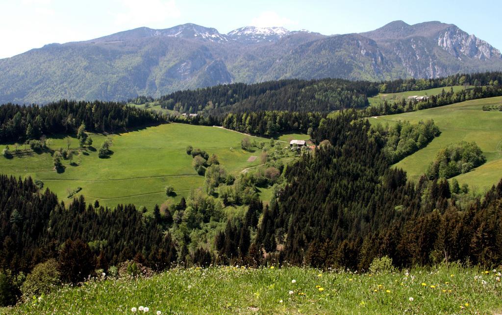 Farmstay Hisa Pecovnik Luče Exteriér fotografie
