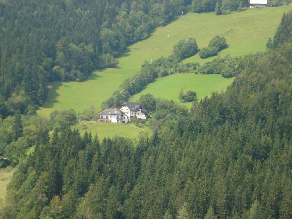 Farmstay Hisa Pecovnik Luče Exteriér fotografie