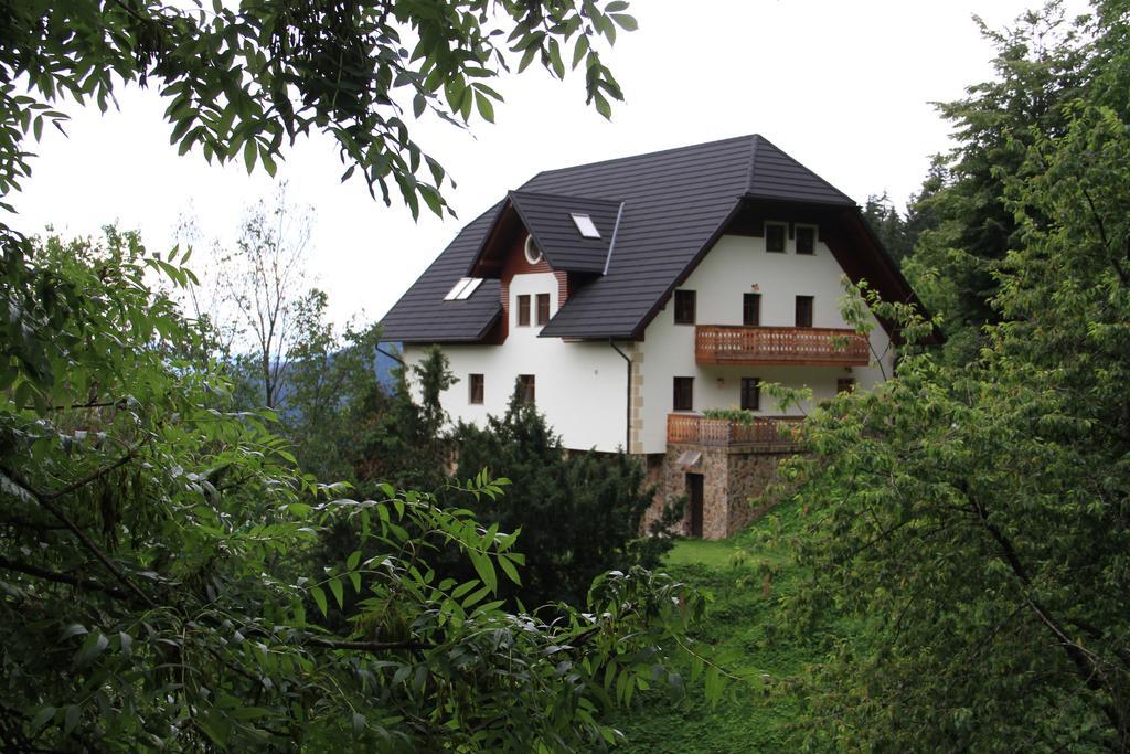 Farmstay Hisa Pecovnik Luče Exteriér fotografie